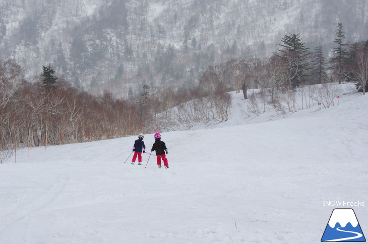 札幌国際スキー場 積雪豊富☆明日の営業最終日も、ほぼ全面滑走可能です!!